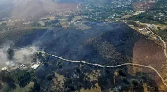 Bodrum'da Makilik Alanda Yangın Kontrol Altına Alındı