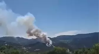 Bolu'da Orman Yangını: Ekipler Mücadele Ediyor