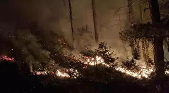 Bolu'da Orman Yangını 8 Saatte Kontrol Altına Alındı