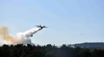 İzmir'de Orman Yangını Soruşturmasında İki Tutuklama