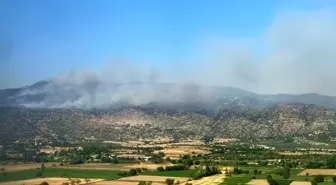 Aydın'da Makilik Arazide Yangın Çıktı