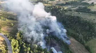 Bursa İnegöl'de Çöplükte Yangın Ormana Sıçradı
