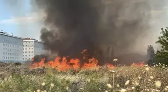 Çanakkale'de Otluk Yangını Kontrol Altına Alındı