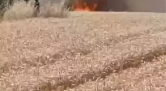 Çatalca'da Buğday Tarlasında Yangın Çıktı