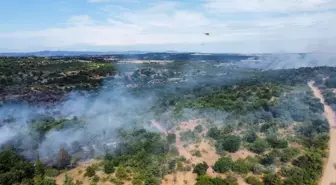 Edirne'de Orman Yangını: Ekipler Seferber Oldu
