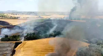 Edirne'de Buğday Tarlasında Yangın: Bin Dönüm Zarar Gördü