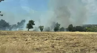 Çanakkale'nin Ezine İlçesinde Tarım Arazisinde Yangın
