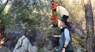 Antalya'nın Finike İlçesindeki Orman Yangını Kontrol Altına Alındı