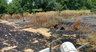 Balıkesir'de İki Ayrı Yangın Kontrol Altına Alındı