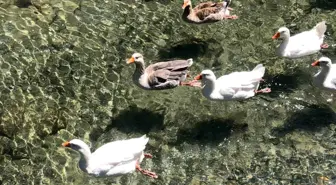 Eskişehir'deki THK İnönü Havacılık Eğitim Merkezi'nde Doğa Güzelliği