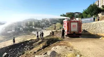 Şırnak'ta Anız Yangınına Çocuklardan Eğlenceli Müdahale