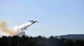İzmir'de Orman Yangını Kontrol Altında