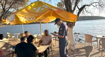 Didim'de Jandarma Uygulamaları: İş Yerleri ve Araçlar Kontrol Edildi