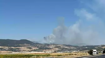 Kahramanmaraş'ta İki Orman Yangını: Yangın Söndürme Çalışmaları Devam Ediyor