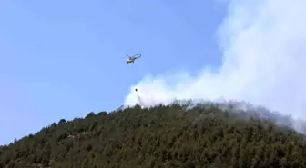 Kahramanmaraş'ta Orman Yangınları: Türkoğlu Kontrol Altında, Dulkadiroğlu'nda Sürekleniyor