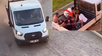 Kamyonette kahreden görüntü