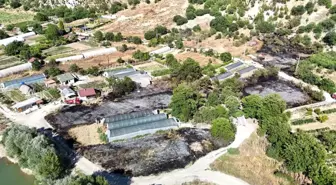 Karabük'te Anız Yangını: 6 Dönüm Alan Zarar Gördü