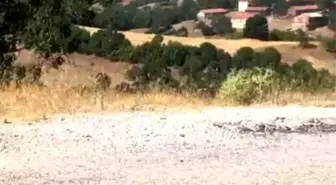 Balıkesir'in Kepsut ilçesindeki orman yangını köyü tehdit ediyor