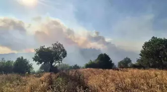 Balıkesir'de Orman Yangını Köye Dayandı