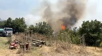 Manisa'da Orman Yangını: Üç Köy Tahliye Ediliyor