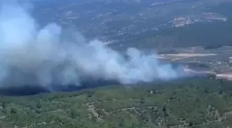 Manisa'da Orman Yangını: Hızlı Müdahale Devam Ediyor