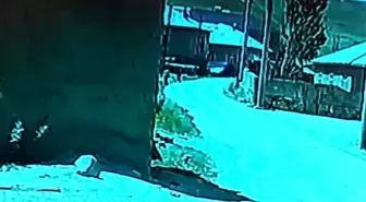 Van'da Lastiği Patlayan Kamyonet Duvara Çarptı, Oyun Oynayan Çocuklar Panik İçinde Kaçtı