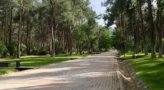 Parkta oturan genç kızları önce takip sonra taciz etti