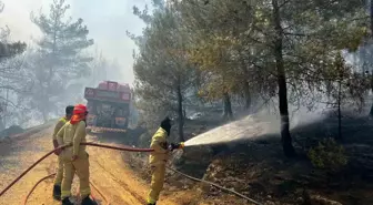 Sakarya ve Bilecik'te Orman Yangını Kontrol Altına Alınmaya Çalışılıyor