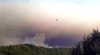 Sakarya'da Orman Yangını 24 Saatten Fazladır Kontrol Altına Alınamadı