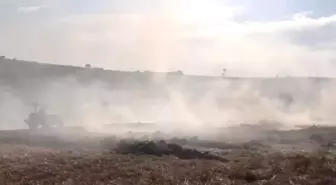 Sakarya'da Yangın: 200 Saman Balyası ve 15 Dönüm Tarla Yandı