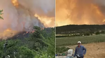 Sakarya'daki orman yangını Bilecik'e sıçradı! Köyler boşaltıldı, asker sahaya indi