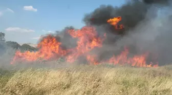 Ege Bölgesi'nde Orman Yangınları Riski Artıyor