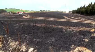 Silivri'de Tarla Yangını: 30 Dönüm Buğday Kül Oldu