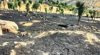 Menemen yapmak isteyen çocuklar, yangına neden oldu