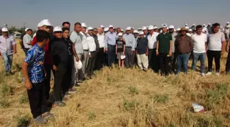 TZOB Başkanı Bayraktar: Kuraklık Tarımı Olumsuz Etkilemeye Devam Edecek