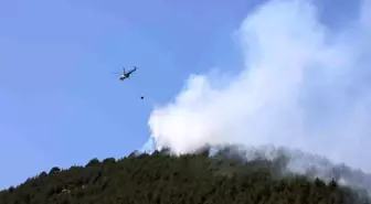 Kahramanmaraş'ta Orman Yangını: Anız Yakılması Nedeniyle Çıktı