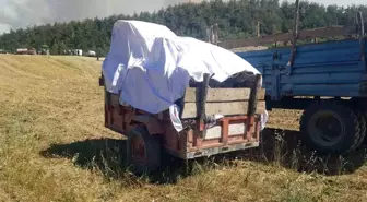 Sakarya'da Orman Yangını Sebebiyle Köyler Tahliye Ediliyor