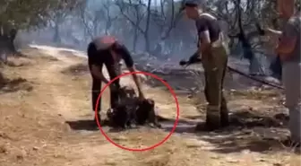Bursa'daki Yangında Kurtarılan Hayvanlar için İtfaiye Ekipleri Seferber Oldu
