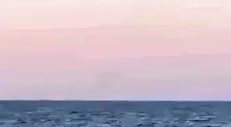 Manavgat'ta Amatör Balıkçılar Balina ile Karşılaştı