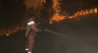 Kahramanmaraş'ta Orman Yangını 12 Saatlik Mücadeleyle Kontrol Altına Alındı
