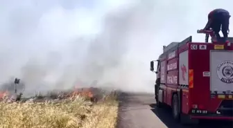 Adıyaman'da Yangın: 350 Dönüm Alan Yandı