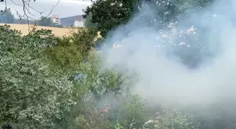 Tokat'ın Zile İlçesinde Yangın Paniği