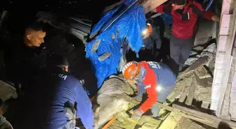Artvin'de Ahırın Çökmesi Sonucu 33 Büyükbaş Hayvan Kurtarıldı