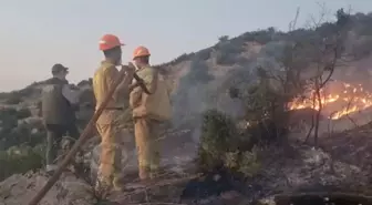 Aydın'daki Yangın 9 Saatlik Mücadele Sonrası Kontrol Altına Alındı