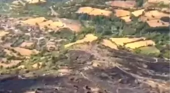Balıkesir'de Orman Yangını Kontrol Altına Alındı