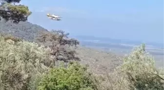 Balıkesir'de Orman Yangını 24 Saat Sonra Kontrol Altına Alındı