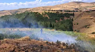 Balıkesir'de Arazi Yangınlarına Hızlı Müdahale