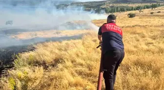 Tatvan'da Piknik Ateşi Yangına Neden Oldu: 45 Dönüm Kül Oldu