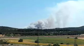 Çanakkale'de Tarım Arazisinde Yangın Çıktı