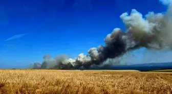 Çanakkale'de Tarım Arazisinde Yangın: 100 Dönüm Buğday Zarar Gördü